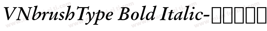VNbrushType Bold Italic字体转换